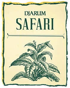 Djarum Safari